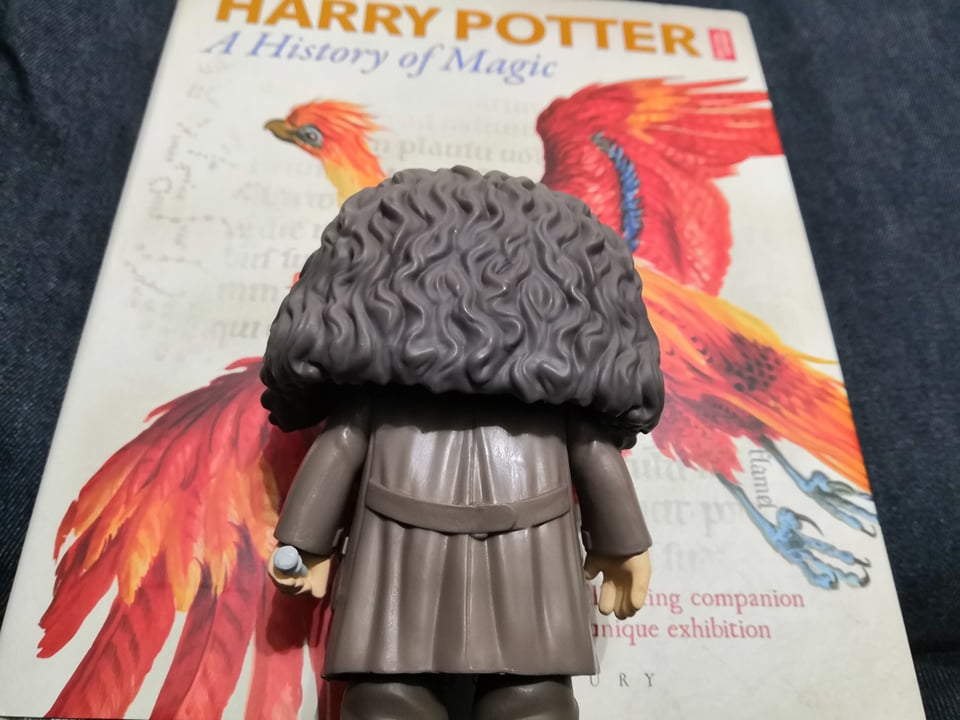 Hagrid Funko Pop Back