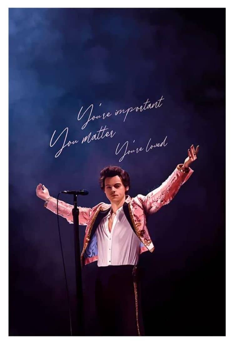 Harry Styles Poster All Hail Harry