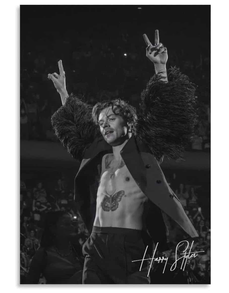 Harry Styles Poster Styles On Stage